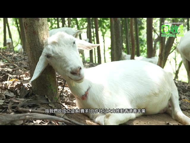 DOCUMENTARY VIDEO FOR 回收基金 (PACKAGE F） — V1.media企業影片製作作品